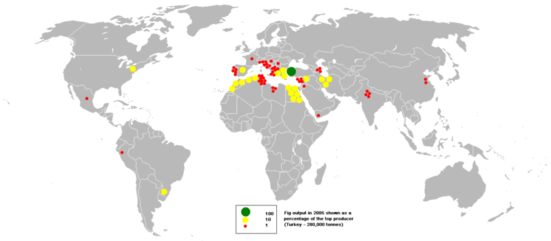 Файл:2005fig.PNG